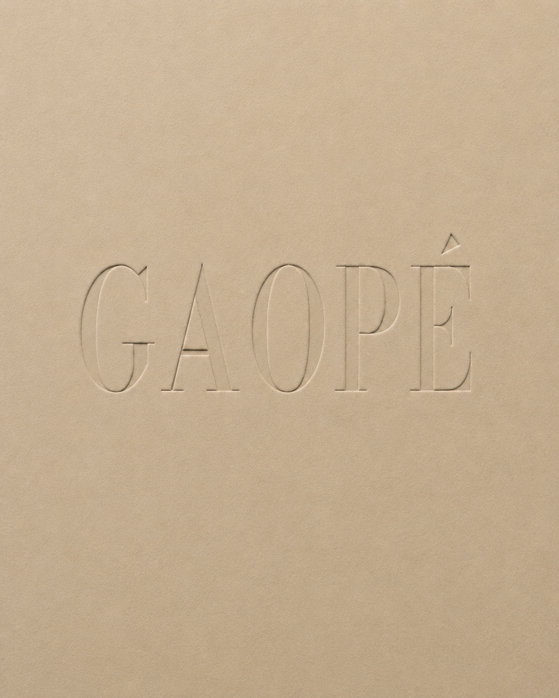 Pourquoi nous avons créé GAOPÉ