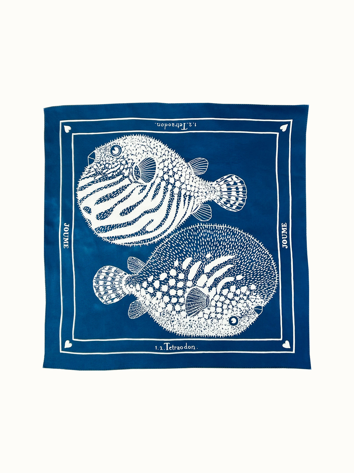 Carré 65 "1.2. TETRAODON"