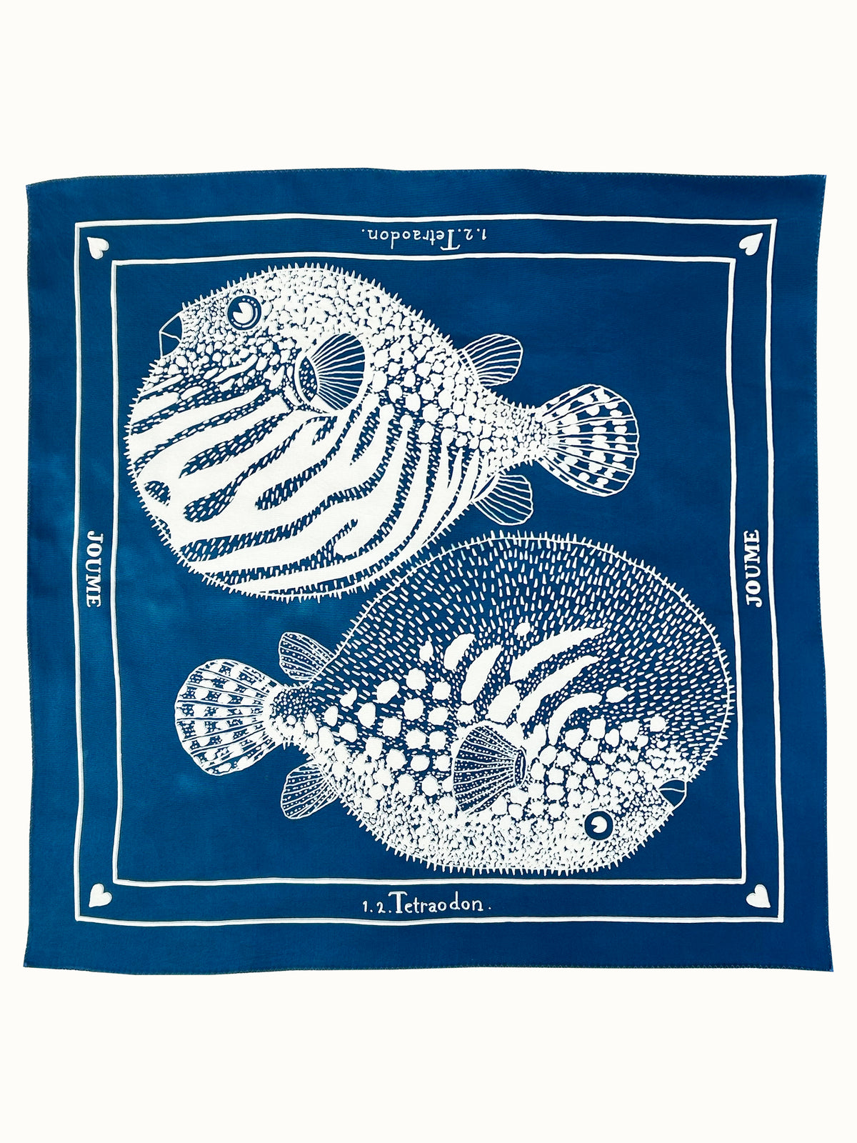 Carré 65 "1.2. TETRAODON"
